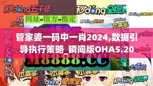 管家婆一码中一肖2024,数据引导执行策略_瞬间版OHA5.20