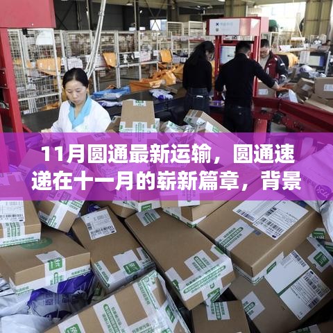 圆通速递十一月新篇章，背景、重大事件与物流行业影响深度解析
