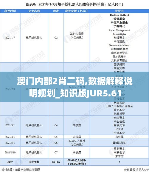 澳门内部2肖二码,数据解释说明规划_知识版JUR5.61