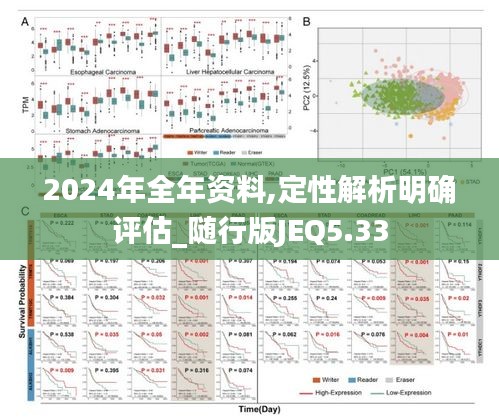 2024年全年资料,定性解析明确评估_随行版JEQ5.33