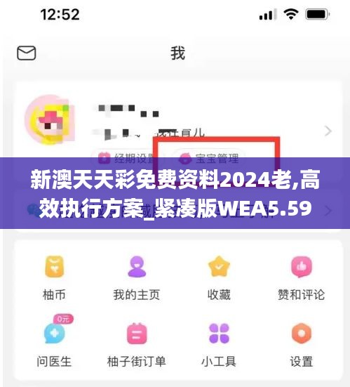 新澳天天彩免费资料2024老,高效执行方案_紧凑版WEA5.59
