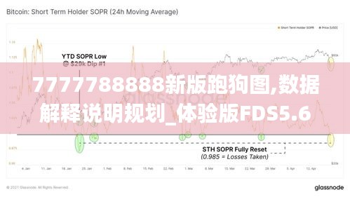 7777788888新版跑狗图,数据解释说明规划_体验版FDS5.65
