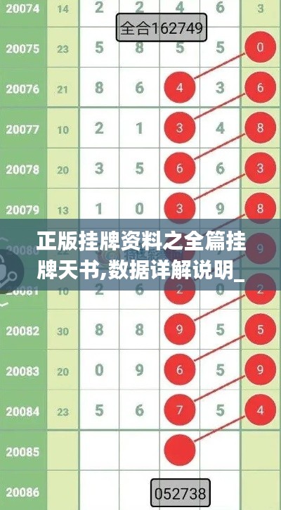 正版挂牌资料之全篇挂牌天书,数据详解说明_动态版KGY5.7