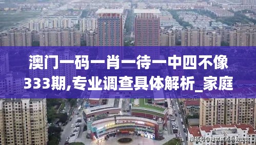澳门一码一肖一待一中四不像333期,专业调查具体解析_家庭版MNV11.41