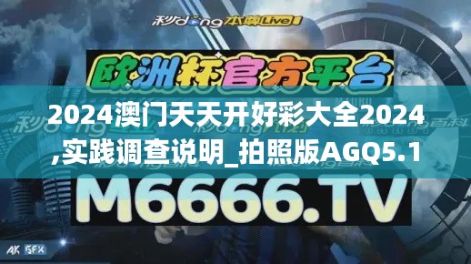 2024澳门天天开好彩大全2024,实践调查说明_拍照版AGQ5.1