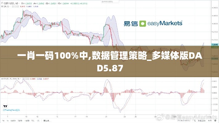 一肖一码100%中,数据管理策略_多媒体版DAD5.87