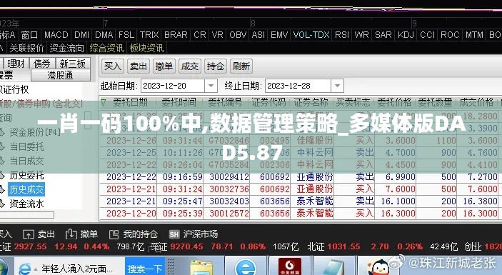 一肖一码100%中,数据管理策略_多媒体版DAD5.87