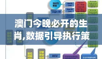 澳门今晚必开的生肖,数据引导执行策略_黑科技版EJP5.72