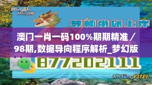 澳门一肖一码100%期期精准／98期,数据导向程序解析_梦幻版SEO5.79