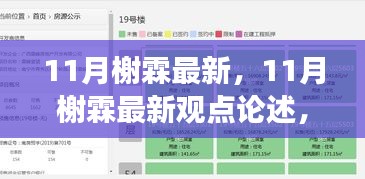 11月榭霖最新观点论述，正反两面及个体立场探析