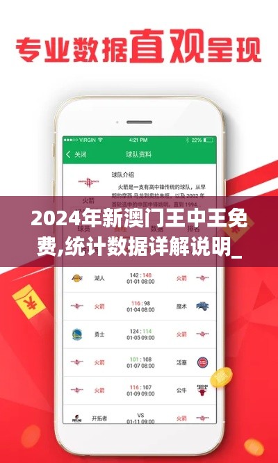 2024年新澳门王中王免费,统计数据详解说明_性能版WJL5.48