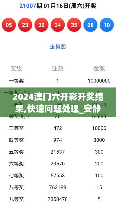2024澳门六开彩开奖结果,快速问题处理_安静版FLB5.36