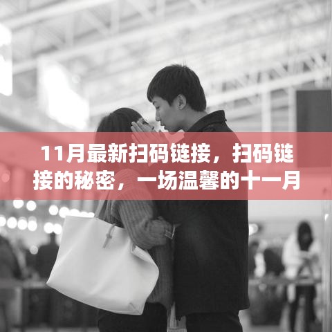 十一月最新扫码链接揭秘，开启友情之旅的温馨密码