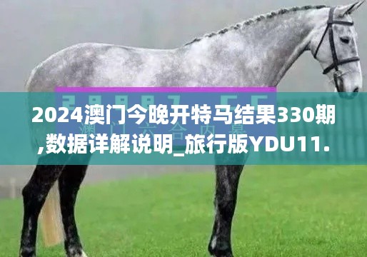 2024澳门今晚开特马结果330期,数据详解说明_旅行版YDU11.46