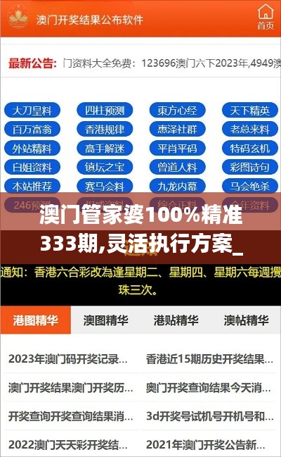 澳门管家婆100%精准333期,灵活执行方案_设计师版KMR11.15