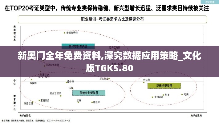 新奥门全年免费资料,深究数据应用策略_文化版TGK5.80
