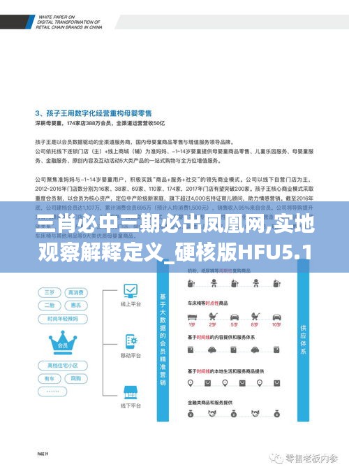 三肖必中三期必出凤凰网,实地观察解释定义_硬核版HFU5.17