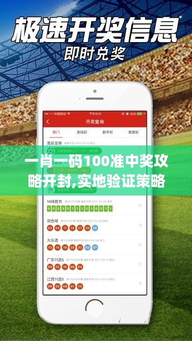 一肖一码100准中奖攻略开封,实地验证策略具体_升级版EEV5.66