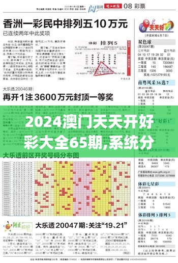 2024澳门天天开好彩大全65期,系统分析方案设计_体验版OKP5.93