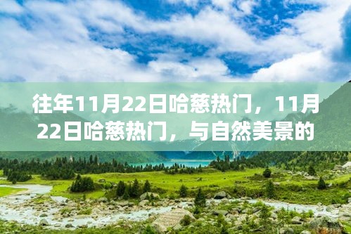11月22日哈慈热门与自然美景的邂逅，寻找内心平和之旅的启程点