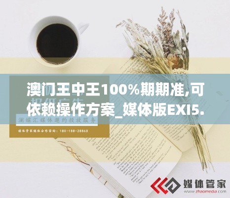 澳门王中王100%期期准,可依赖操作方案_媒体版EXI5.76