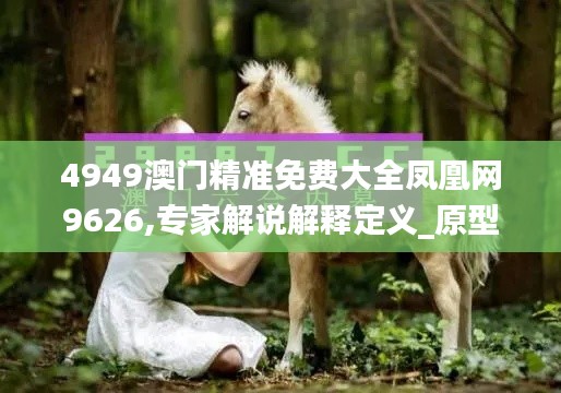 4949澳门精准免费大全凤凰网9626,专家解说解释定义_原型版BZP5.77