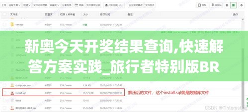 新奥今天开奖结果查询,快速解答方案实践_旅行者特别版BRQ5.99