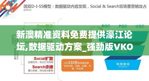 新澳精准资料免费提供濠江论坛,数据驱动方案_强劲版VKO5.99