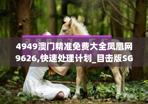 4949澳门精准免费大全凤凰网9626,快速处理计划_目击版SGD5.92
