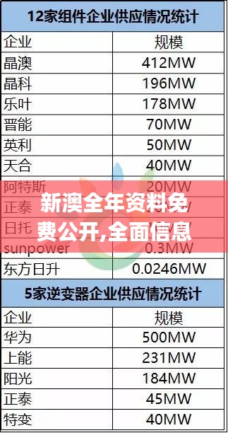 新澳全年资料免费公开,全面信息解释定义_可靠版HRO5.40