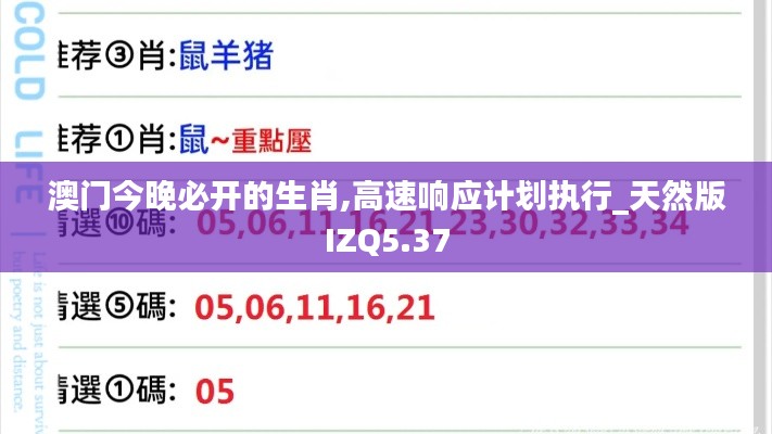 澳门今晚必开的生肖,高速响应计划执行_天然版IZQ5.37