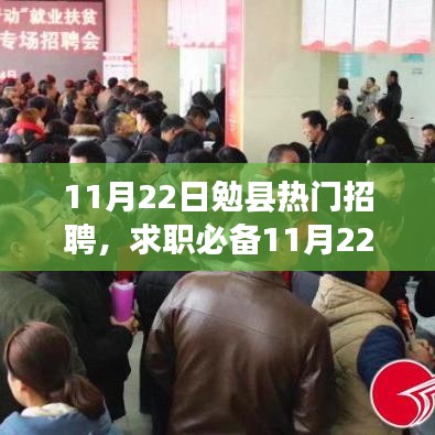 11月22日勉县热门招聘活动全程指南，如何轻松找到心仪工作