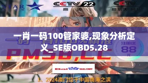 一肖一码100管家婆,现象分析定义_SE版OBD5.28