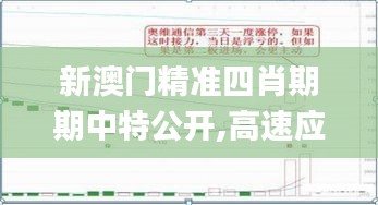 新澳门精准四肖期期中特公开,高速应对逻辑_发布版FDE5.67