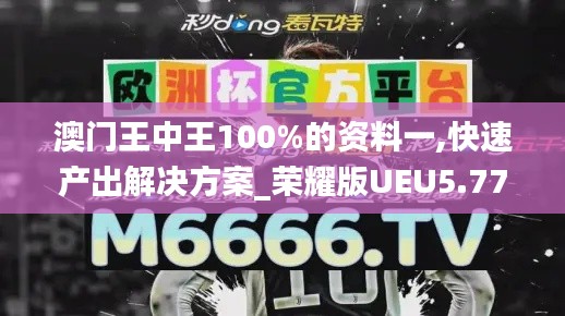 澳门王中王100%的资料一,快速产出解决方案_荣耀版UEU5.77