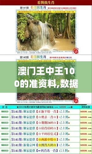 澳门王中王100的准资料,数据解释说明规划_艺术版TLB5.92