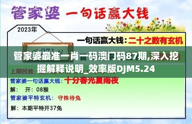 管家婆最准一肖一码澳门码87期,深入挖掘解释说明_效率版DJM5.24