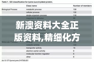 新澳资料大全正版资料,精细化方案决策_黑科技版FVF5.29