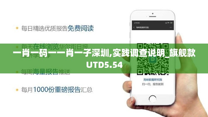 一肖一码一一肖一子深圳,实践调查说明_旗舰款UTD5.54