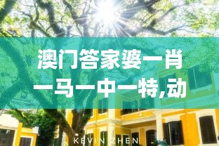 澳门答家婆一肖一马一中一特,动态解读分析_资源版FOE5.79