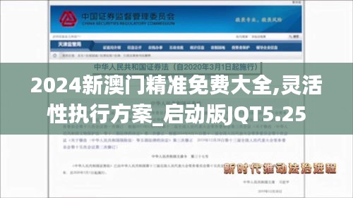2024新澳门精准免费大全,灵活性执行方案_启动版JQT5.25
