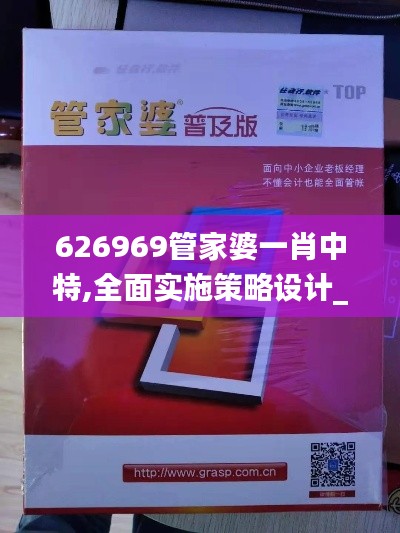 626969管家婆一肖中特,全面实施策略设计_流线型版AAS5.14