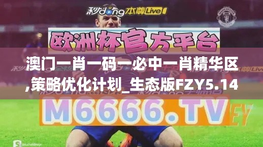 澳门一肖一码一必中一肖精华区,策略优化计划_生态版FZY5.14