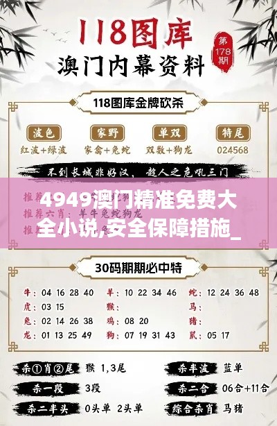 4949澳门精准免费大全小说,安全保障措施_原汁原味版TXH5.50