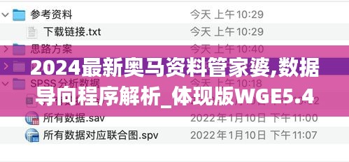 2024最新奥马资料管家婆,数据导向程序解析_体现版WGE5.47