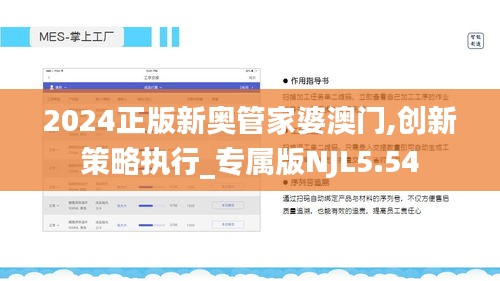 2024正版新奥管家婆澳门,创新策略执行_专属版NJL5.54