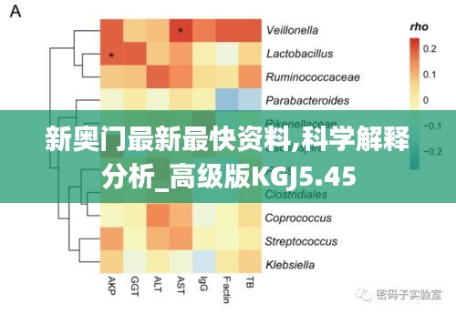 新奥门最新最快资料,科学解释分析_高级版KGJ5.45