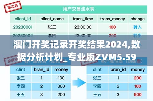 澳门开奖记录开奖结果2024,数据分析计划_专业版ZVM5.59