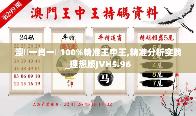 澳門一肖一碼100%精准王中王,精准分析实践_理想版JVH5.96