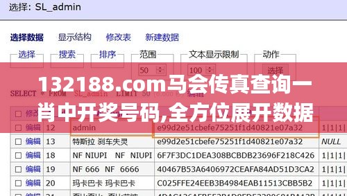 132188.соm马会传真查询一肖中开奖号码,全方位展开数据规划_演讲版XUQ5.11